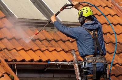 Démoussage et hydrofuge de toiture à Maillezais
